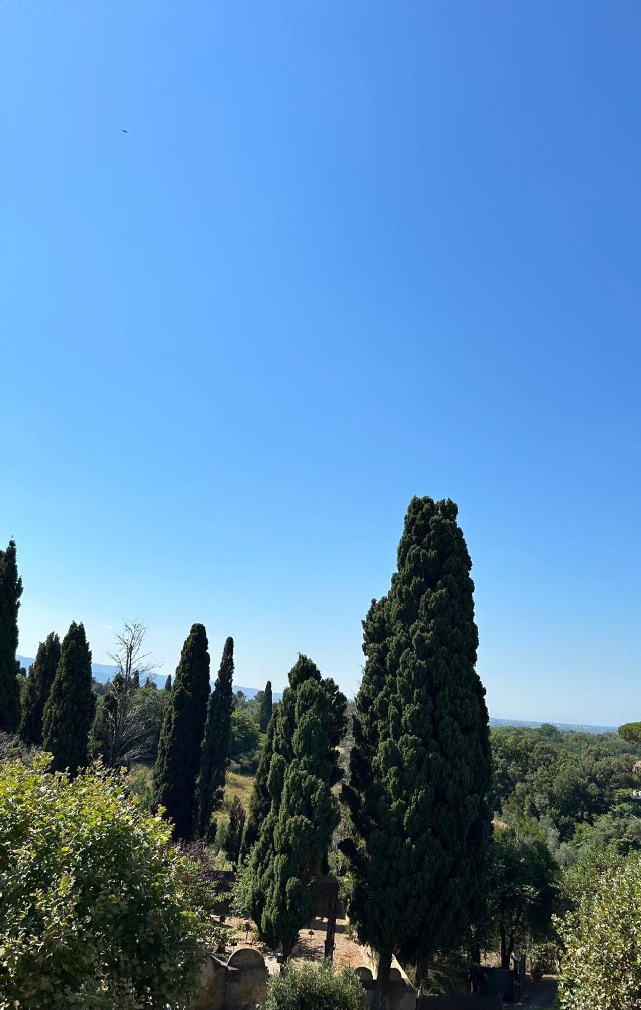 Ferienwohnung A Pochi Passi Dal Centro Bolgheri Exterior foto